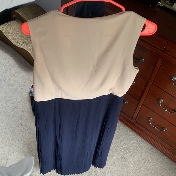 Seraphine Pleated Maternity/Nursing Dress - Picture 12 of 15